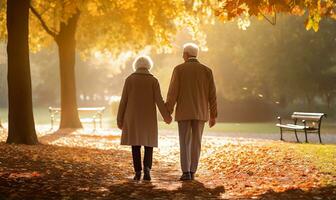 Senior citizen couple taking a leisurely walk in a park during an autumn morning. AI Generated photo