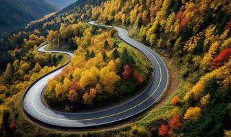 devanado la carretera en el bosque en el caer. ai generado foto