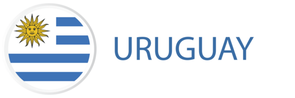 Uruguay Flagge im Netz Taste, Taste Symbole. png