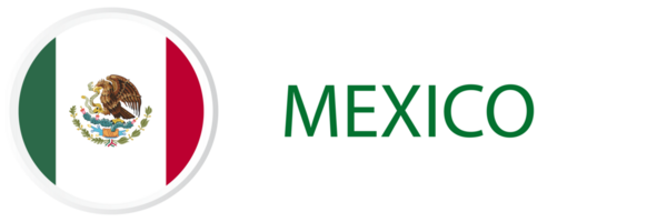 México bandeira dentro rede botão, botão ícones. png