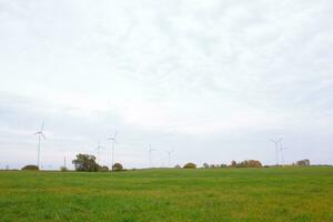 Wind turbines in fields photo