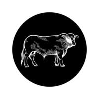 Bull icon on a black background looks forward. Engraved drawing sketch. For agriculture, cattle breeding and beef vector