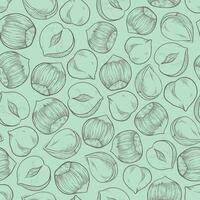 Seamless hazelnut pattern with several fruit nuts and kernels in sketch style. Turquoise background for packing hazelnut or chocolate, nut paste vector