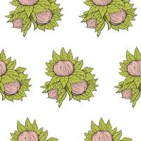 Seamless pattern hazelnut many fruit nuts and kernels, leaves in sketch style. Symmetrical background for packing hazelnut or chocolate, nut paste vector