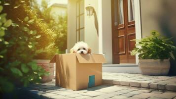 cartulina caja paquete con mullido blanco perrito en frente en puerta casa, entrega transporte Servicio concepto, generativo ai. foto