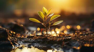 Small tree growing from fertile soil on sunset, by AI Generative. photo