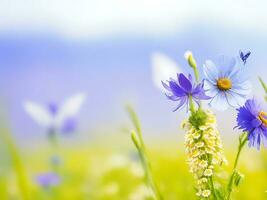 Beautiful wild flowers chamomile, purple wild peas, butterfly in morning haze in nature close-up macro. ai generated photo