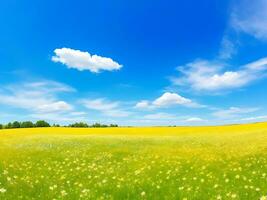 Natural colorful panoramic landscape with many wild flowers of daisies against blue sky. ai generated photo