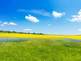 Natural colorful panoramic landscape with many wild flowers of daisies against blue sky. ai generated photo