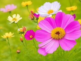 Wild flowers of clover and butterfly in a meadow in nature in the rays of sunlight in summer in the spring close-up of a macro. ai generated photo