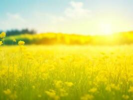 Abstract soft focus sunset field landscape of yellow flowers and grass meadow warm golden hour sunset sunrise time. Tranquil spring summer nature closeup and blurred forest background. ai generated photo