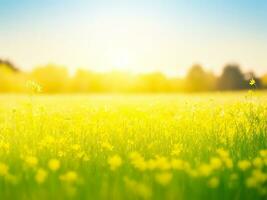 Abstract soft focus sunset field landscape of yellow flowers and grass meadow warm golden hour sunset sunrise time. Tranquil spring summer nature closeup and blurred forest background. ai generated photo