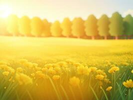 Abstract soft focus sunset field landscape of yellow flowers and grass meadow warm golden hour sunset sunrise time. Tranquil spring summer nature closeup and blurred forest background. ai generated photo