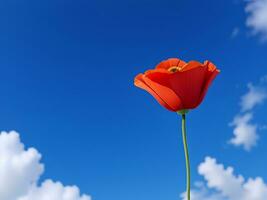 poppy against blue sky, ai generated photo