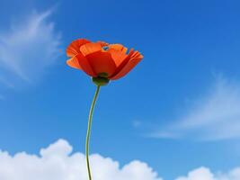 poppy against blue sky, ai generated photo