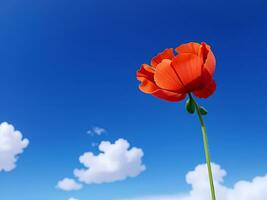 poppy against blue sky, ai generated photo