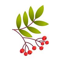 Illustration of berries on a branch vector