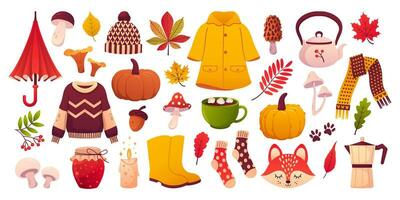 Set autumn collection of autumn elements vector