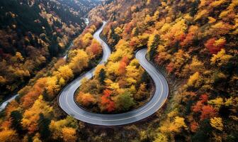 devanado la carretera en el bosque en el caer. ai generado foto