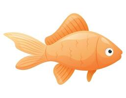 Vector isolated swimming cartoon marine goldfish.