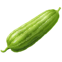 amargo melón vegetal ai generativo png