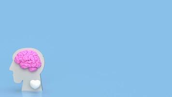 The bust head and brain for sci or medical concept 3d rendering photo