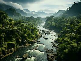 aéreo ver de lluvia bosque a el luz ai generativo foto