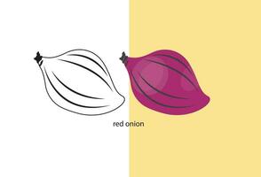 A cartoon style flat illustration of a whole red onion, isolated on a white background, with editable vector format.