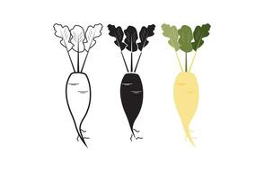 The vector illustration showcases various root vegetables, such as beet, radish, and turnips, presented in colorless, black and white, line, and filled styles with a simple design.