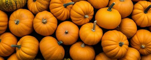 Several mini pumpkins at outdoor farmers market. Generative AI photo