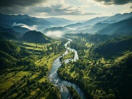 aéreo ver de lluvia bosque a el luz ai generativo foto