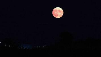 Blue moon over house in August 2023 video