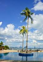 Tropical swimming pool photo