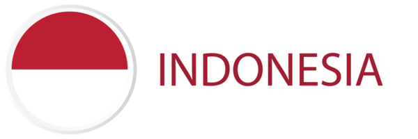 Indonésie drapeau dans la toile bouton, bouton Icônes. png