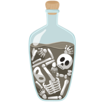 squelette fermenté bouteille png