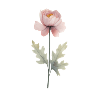 primavera fiore acquerello su isolato sfondo. creato con generativo ai tecnologia. png