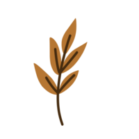 illustration de feuilles d'automne png