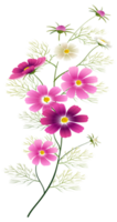 draad schilderij schilderij bloemen een verf bloemen buizen png