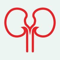 Kidney icon vector. vector