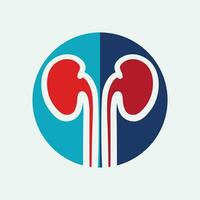 Kidney icon vector. vector