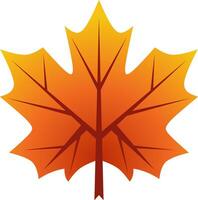 Maple leaf autumn vector illustration. Maple fall season icon with gradient color. Autumn leaf graphic resource for icon, sign, symbol or decoration. Fall season leaf icon for design hygge and cozy