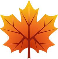 Maple leaf autumn vector illustration. Maple fall season icon with gradient color. Autumn leaf graphic resource for icon, sign, symbol or decoration. Fall season leaf icon for design hygge and cozy