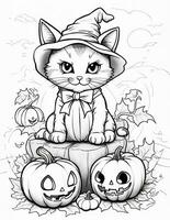 cat coloring page for kids photo