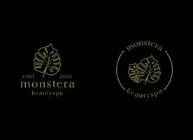 logotipo de hojas de plantas tropicales. diseño de logotipo de hojas de monstera. ilustraciones vectoriales. vector