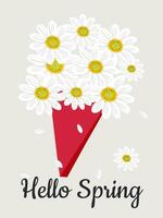 Bouquet with chamomile  isolated on a white background with the inscription Hello Spring. Vector. vector