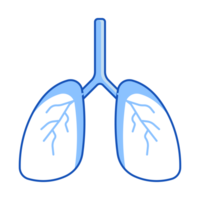 polmoni impostato di interno organo scarabocchio stile png