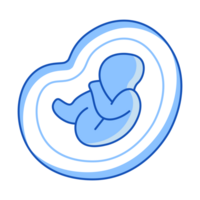 Fetus Set of Internal Organ Doodle Style png