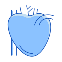 Hearth Set of Internal Organ Doodle Style png