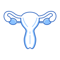 Female Reproductive System Set of Internal Organ Doodle Style png