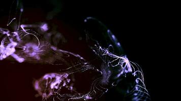 Artificial intelligence neural network Blockchain network concept Seamless animation.. video